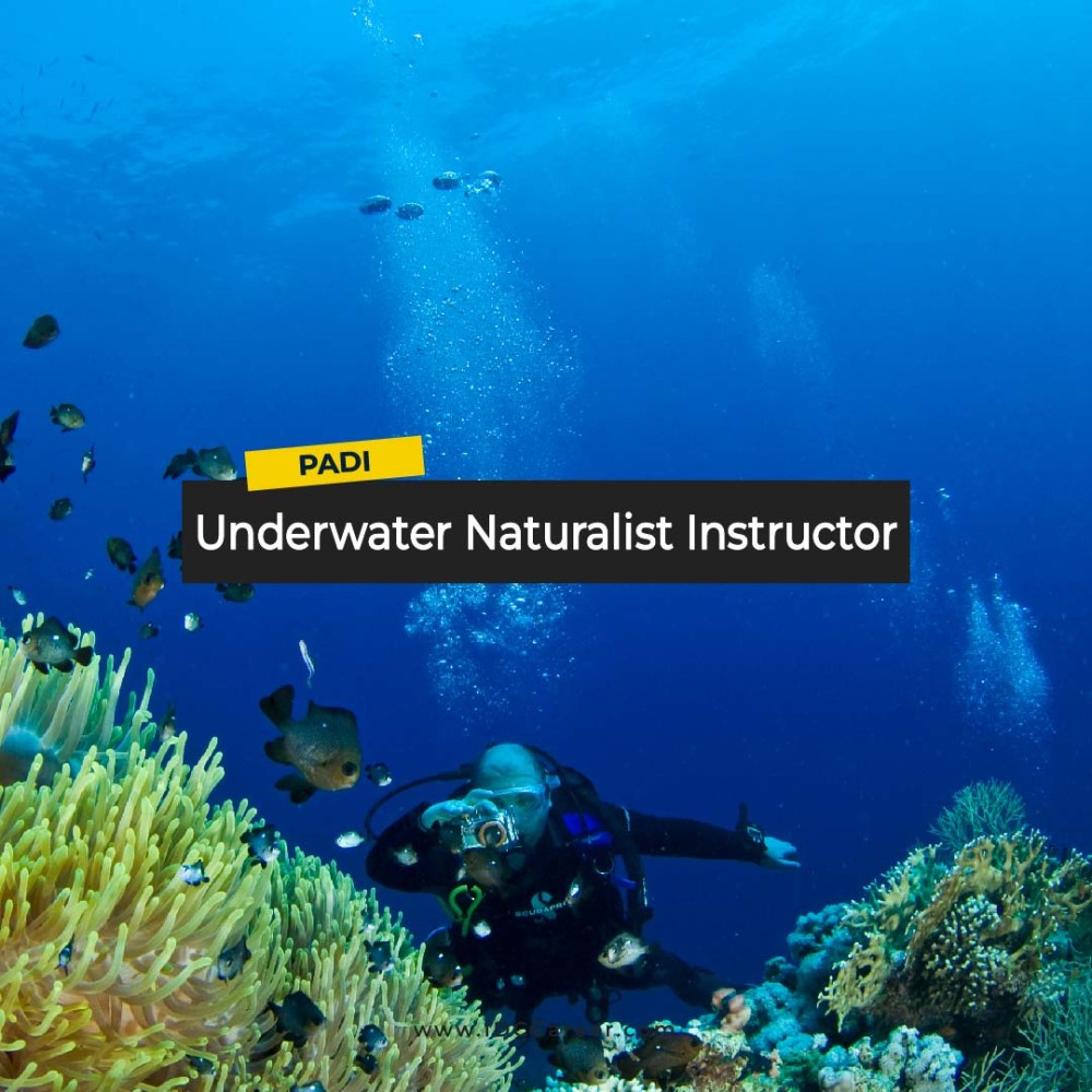 Underwater Naturalist Specialty Instructor