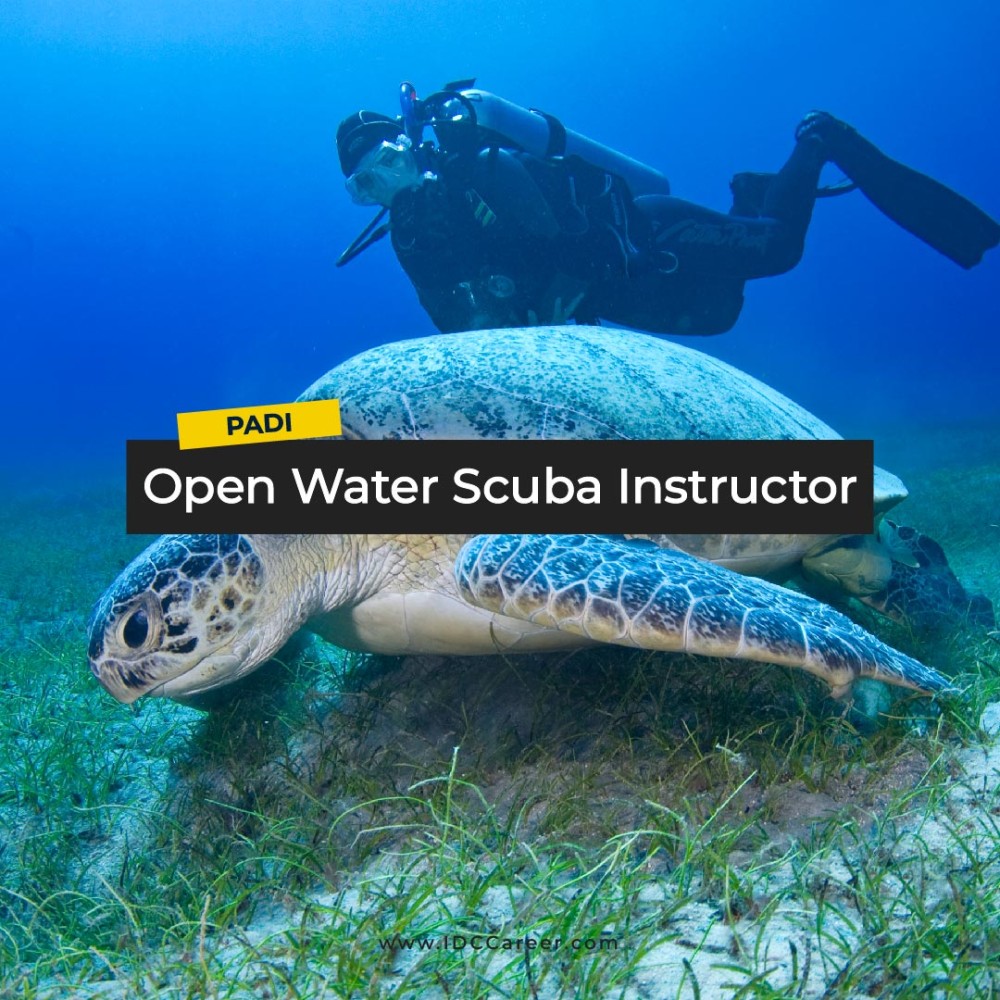 PADI Open Water Scuba Instructor (OWSI)