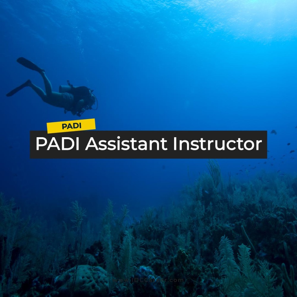 PADI Assistant Instructor	(AI)