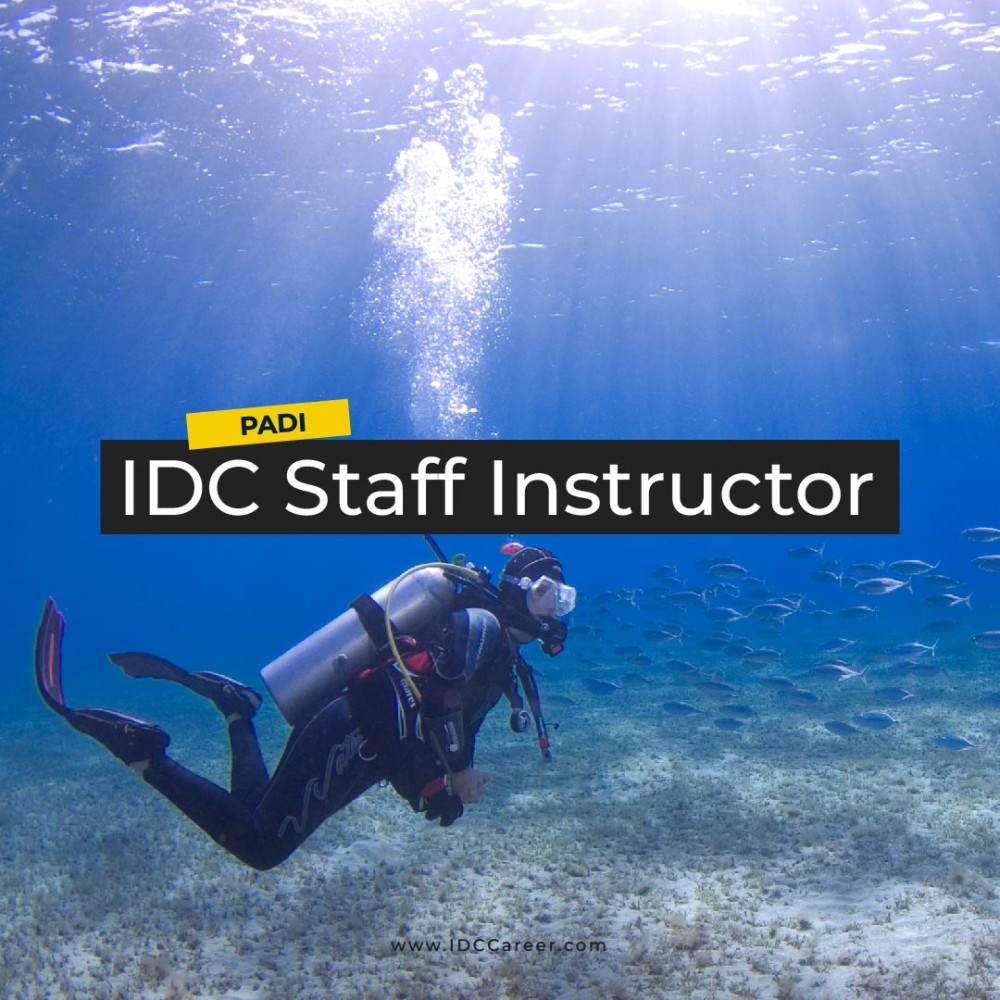 IDC Staff Instructor