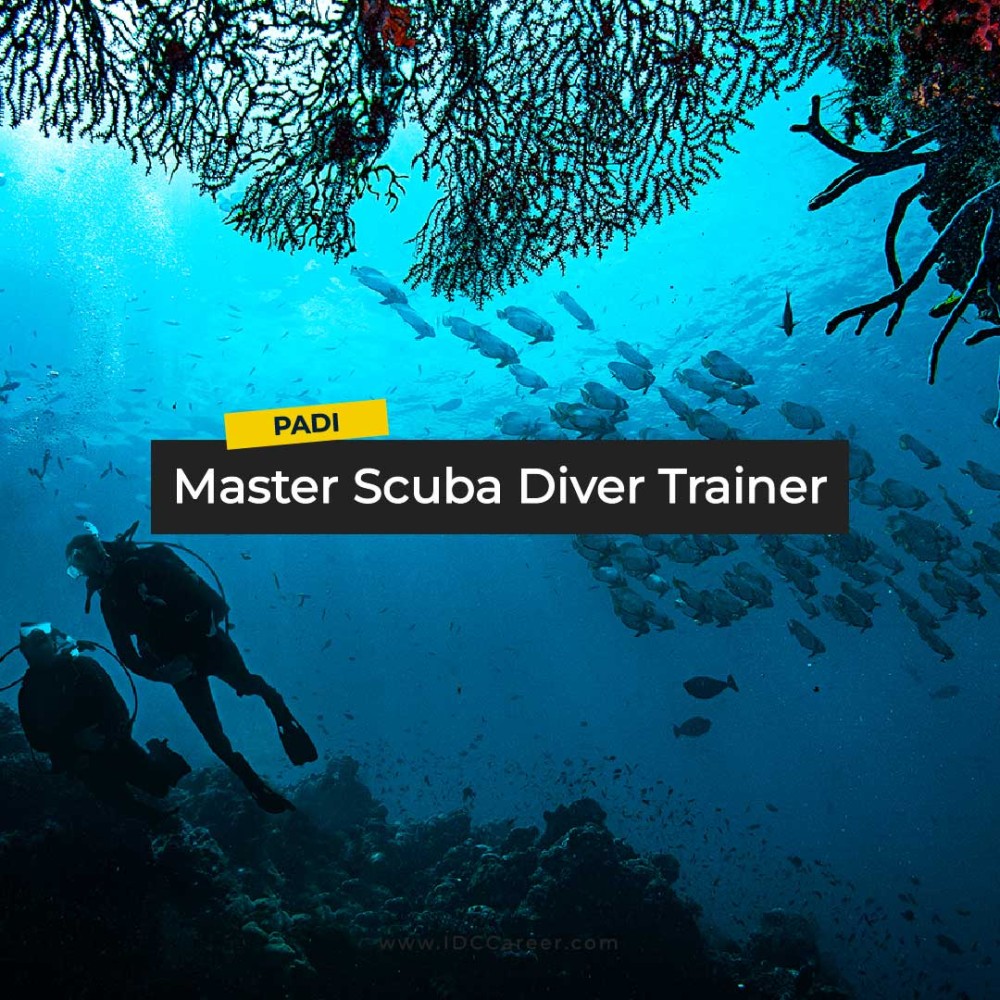 Master Scuba Diver Trainer