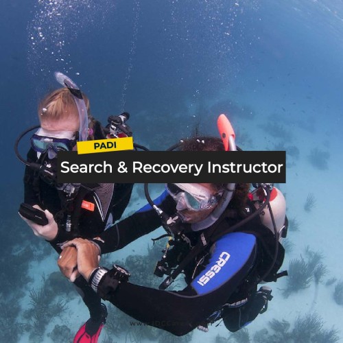 Search & Recovery Specialty Instructor