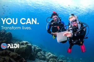 What are 6 benefits of doing PADI Internship?